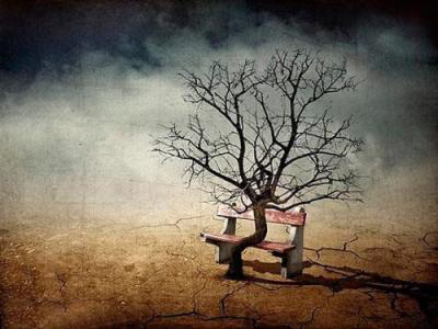 如果再不改變SEO博客必將走到盡頭