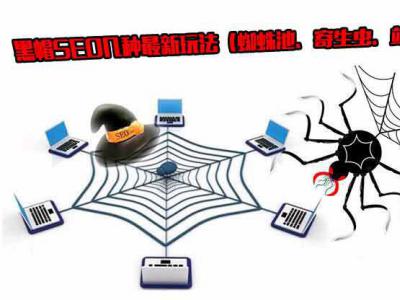 揭開黑帽SEO的神秘面紗：蜘蛛池、寄生蟲、站群