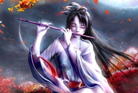 小說網站seo教學視頻教程