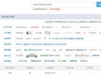 新網站如何做seo？小白站長實操案例！
